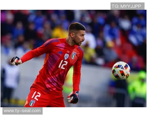 2019年意大利对阵马里足球比赛精彩直播回顾与分析