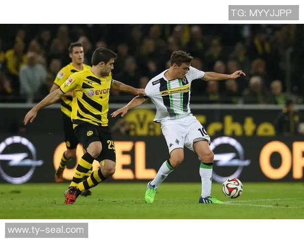 多特蒙德对帕德博恩比赛前瞻与胜负预测分析