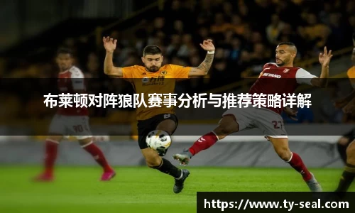 布莱顿对阵狼队赛事分析与推荐策略详解